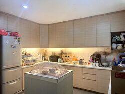 Poh Huat Road (D19), Terrace #459818561